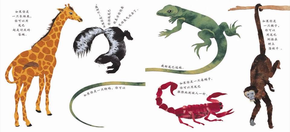 这样的尾巴可以做什么 (08),绘本,绘本故事,绘本阅读,故事书,童书,图画书,课外阅读